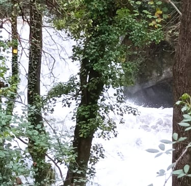 Waterfalls galore