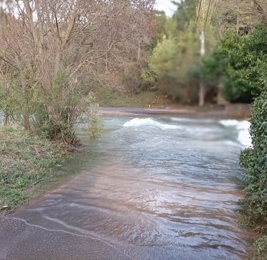 The ford.