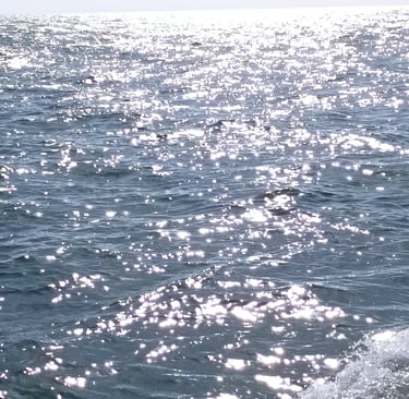 Sunshine on the waves