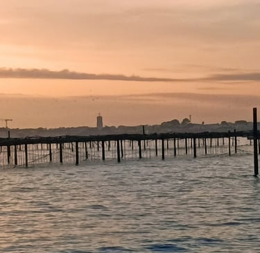Approaching the port of Marseillan