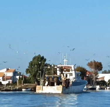 A trawler heads upstream to the Criée(fish market.)