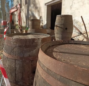 Enormous old oak wine barrels