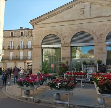 The winter plant stall