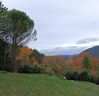 The view from our window