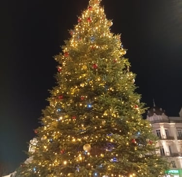 Christmas Fir Place de le Comédie >Montpellier