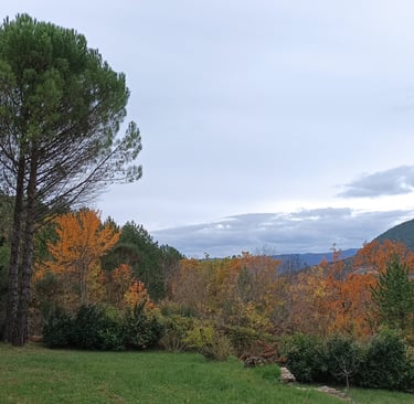 Looking west. from our garden