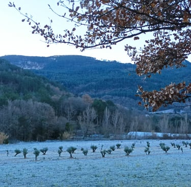 Our valley was coated in frost. as we left.