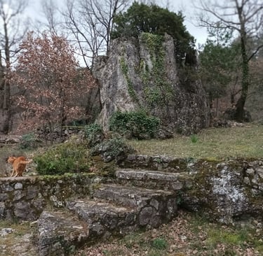 Garden steps and stone walls