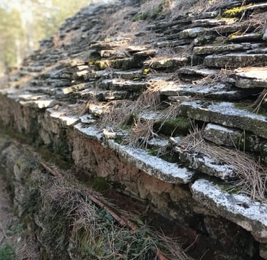 The stone tiled roof