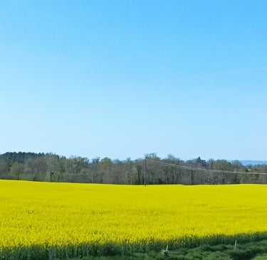 Fields of luminous rape