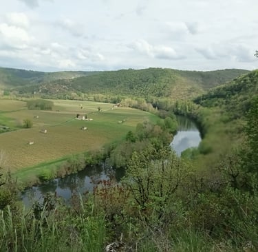 The River Lot