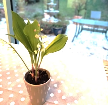 A Gift from a friend