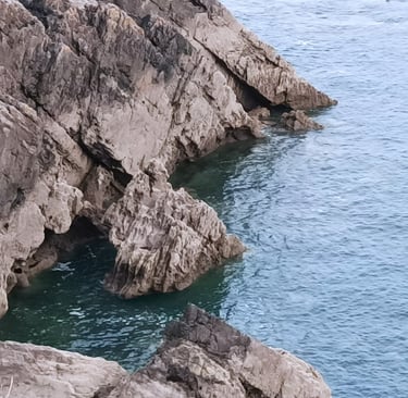 The cliffs beyond our holiday home