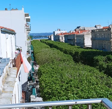 The view to the North, from our tiny balcony
