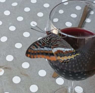 The two tailed Pasha seems partial to red wine
