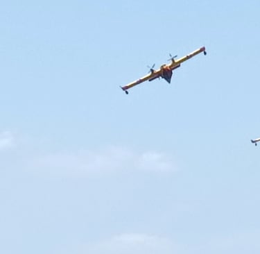 Soaring overhead