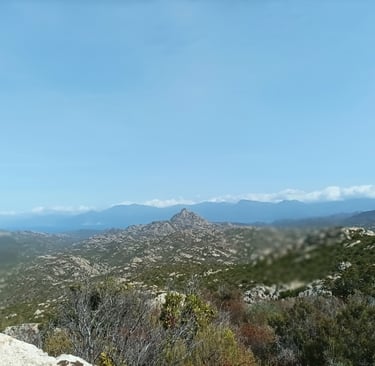 The Corsican Wilderness