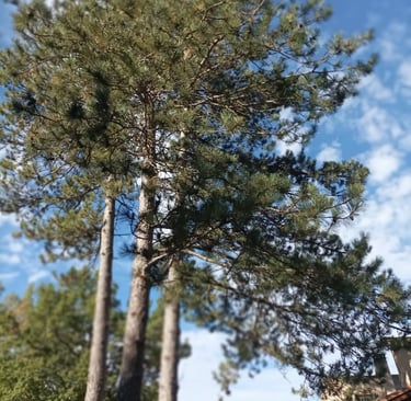 Are you up there?