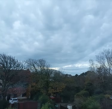 A rich palette of greys