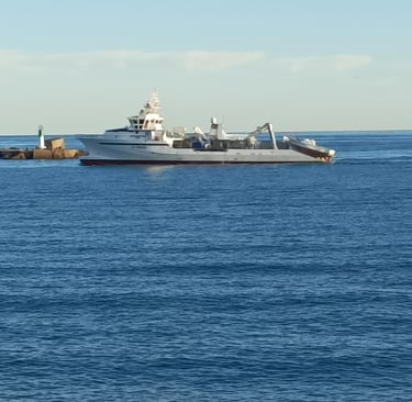 A Larger Trawler heads into Port