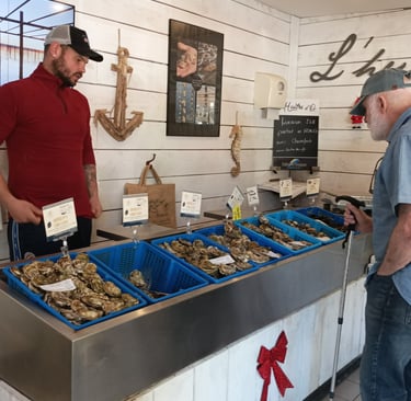 Choosing our Oysters