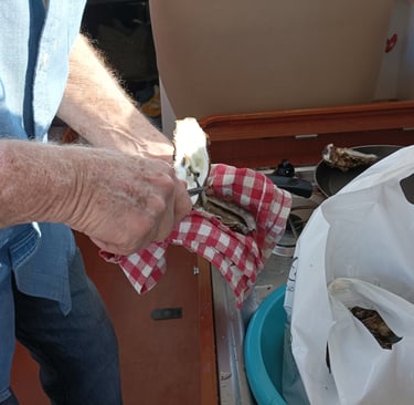 Schucking the Oysters.