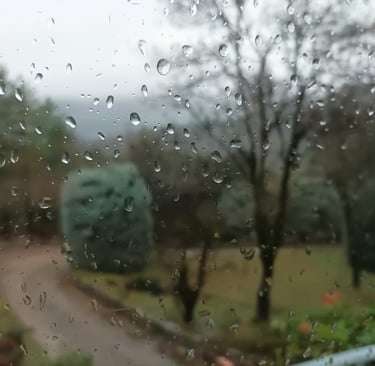 Mist covers the distant hills