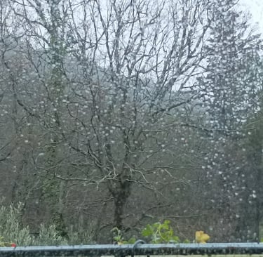 Rain spatters the window