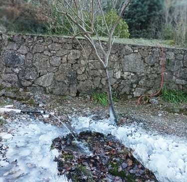 Ice forms as the spring splashes up.