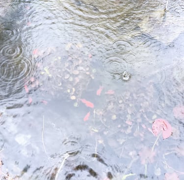 Who cares about the rain?