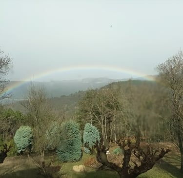 Early morningRainbow