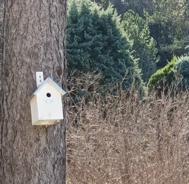 A nesting box for blue tits.