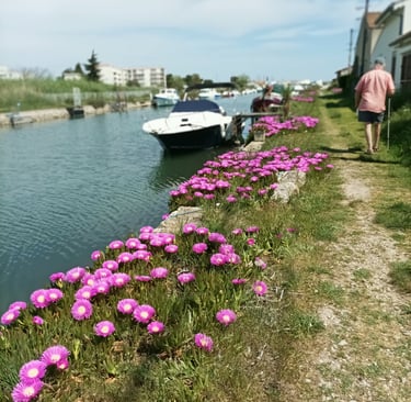 B. walks back towards our mooring to collect our car.