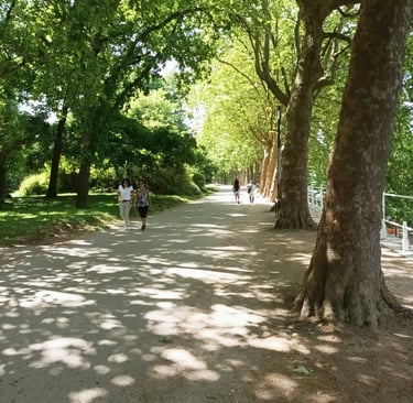 Strolling in the shade