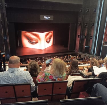 La Traviata is about to begin at the paris Opera