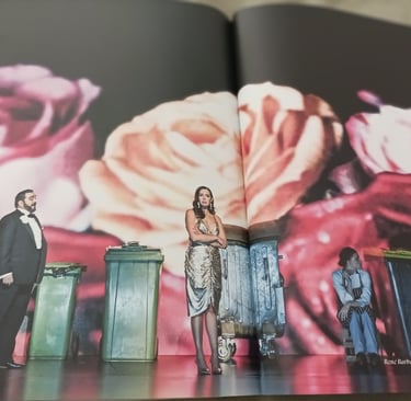 Video Backdrop Opera Bastille