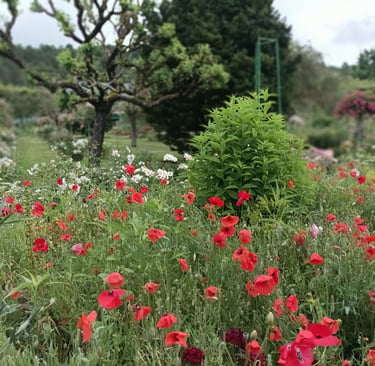 Flowers everywhere