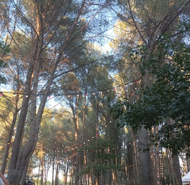 Chateau d' Ô park