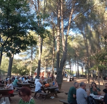 Picnic tables