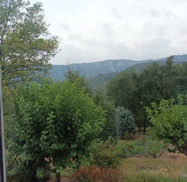 Today's view from the kitchen window