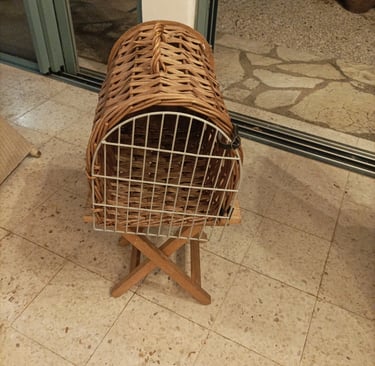 Cat basket for Léo