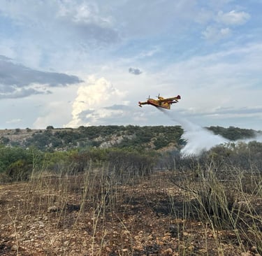 A Canadair tackles the fire at St Privat in the Hérault