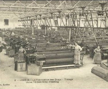 The looms