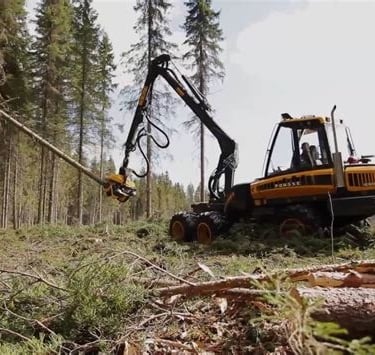 A multi purpose giant tree felling machine