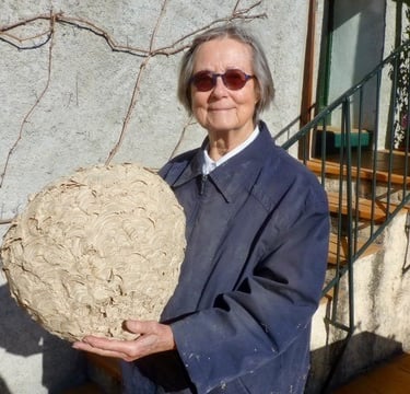 Heleen and her wasps' nest