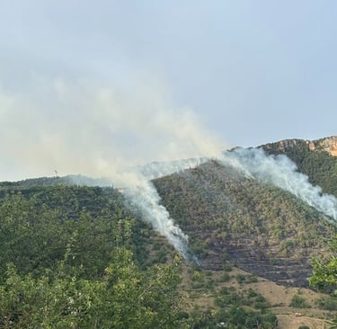 Fire burning above Nant