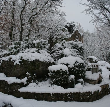 A view of our garden 