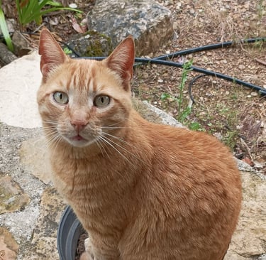 Who me?