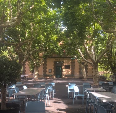 In the shade of the plane trees outside Soubès 'caf.'