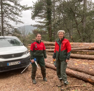Marie-Eve and a forestry colleague.